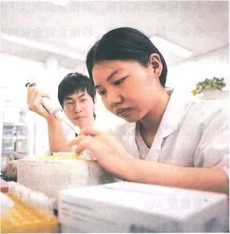 財務(wù)審計、工程造價、記帳報稅、資產(chǎn)評估、地方政府專項債