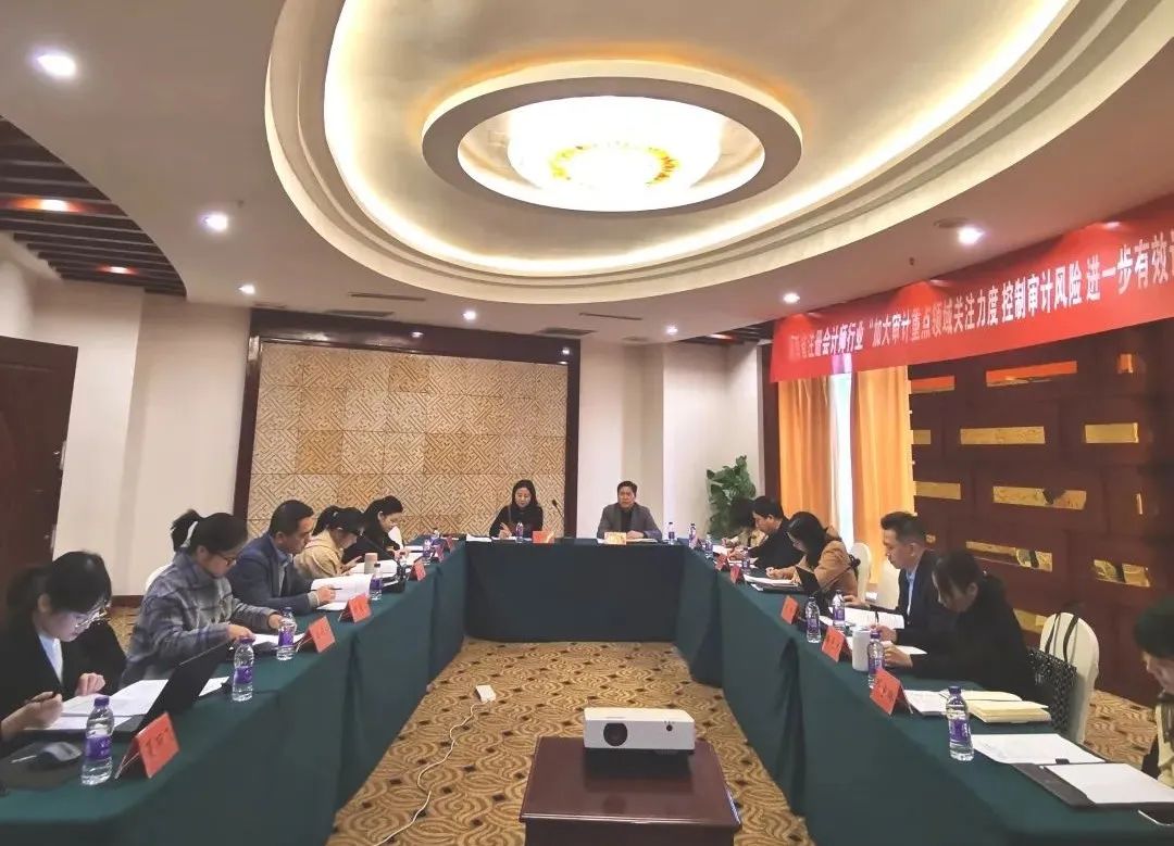 財務(wù)審計、工程造價、記帳報稅、資產(chǎn)評估、地方政府專項債