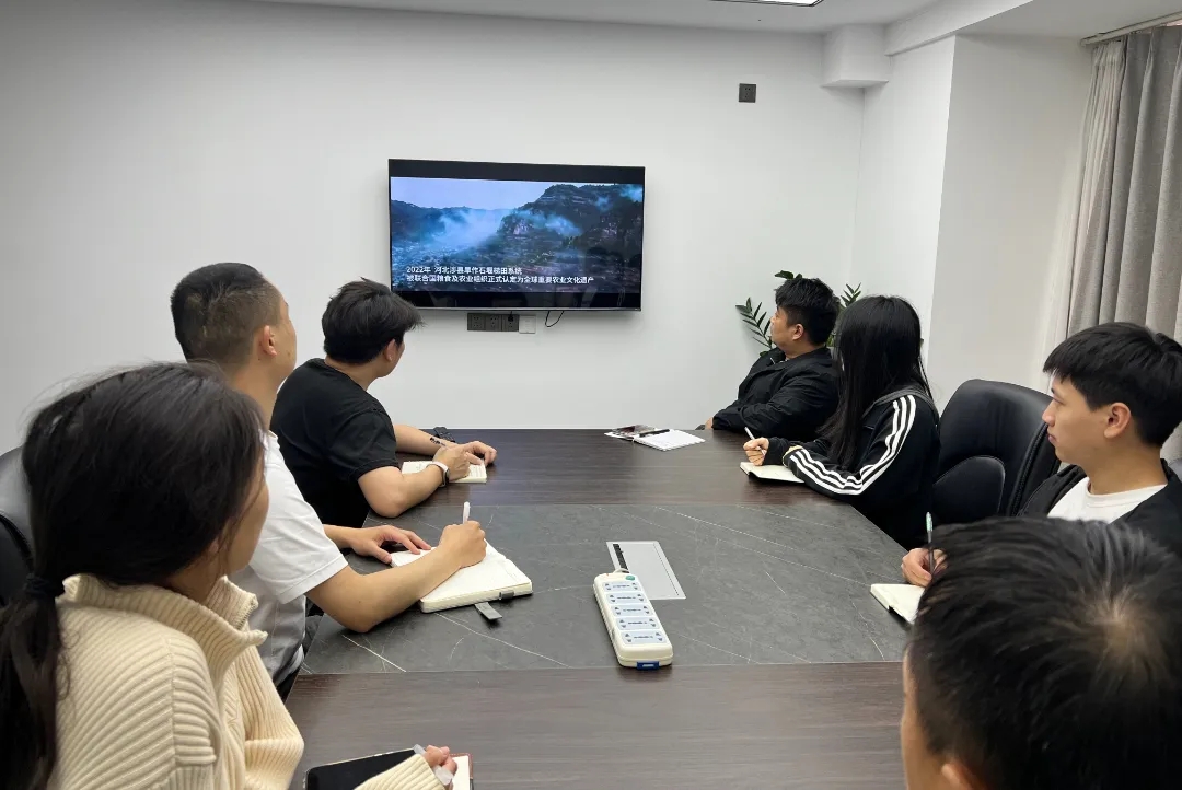 財務(wù)審計、工程造價、記帳報稅、資產(chǎn)評估、地方政府專項債